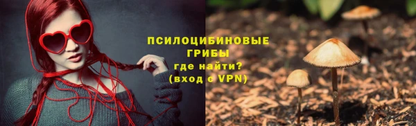 молекула духа Переславль-Залесский