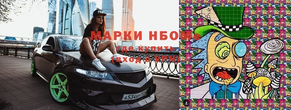 молекула духа Переславль-Залесский