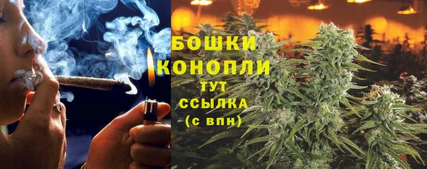молекула духа Переславль-Залесский