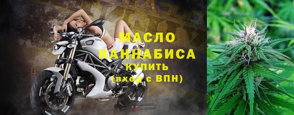молекула духа Переславль-Залесский
